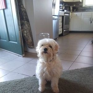 Meet your Posher, Robin